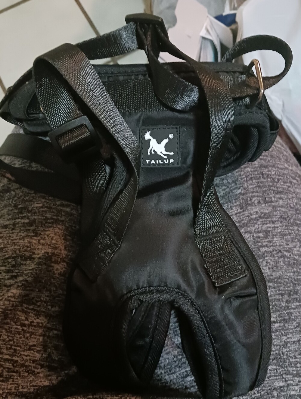 Tail Black Small Pets Harness - Secure Comfort